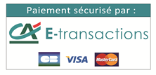 e transactions cb visa mastercard